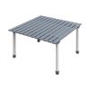 Folding Outdoor Camping Table W/Carrying Bag - Gray - Camping Table